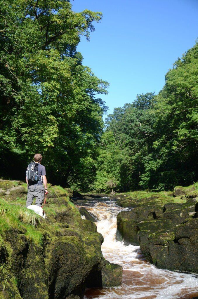 Hiker and Daisy the dog stand by rushing water known as the Strid, on the Dales Way