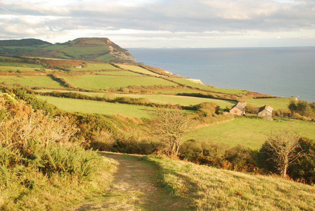 View towards Golden Cap, late in the day