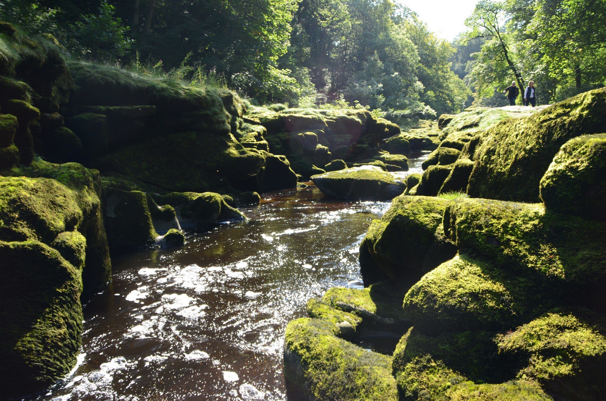 DALES WAY Shot of mossy rocks by a section of river known as the Strid