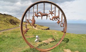 Ring sculpture on Cleveland Way outside Saltburn