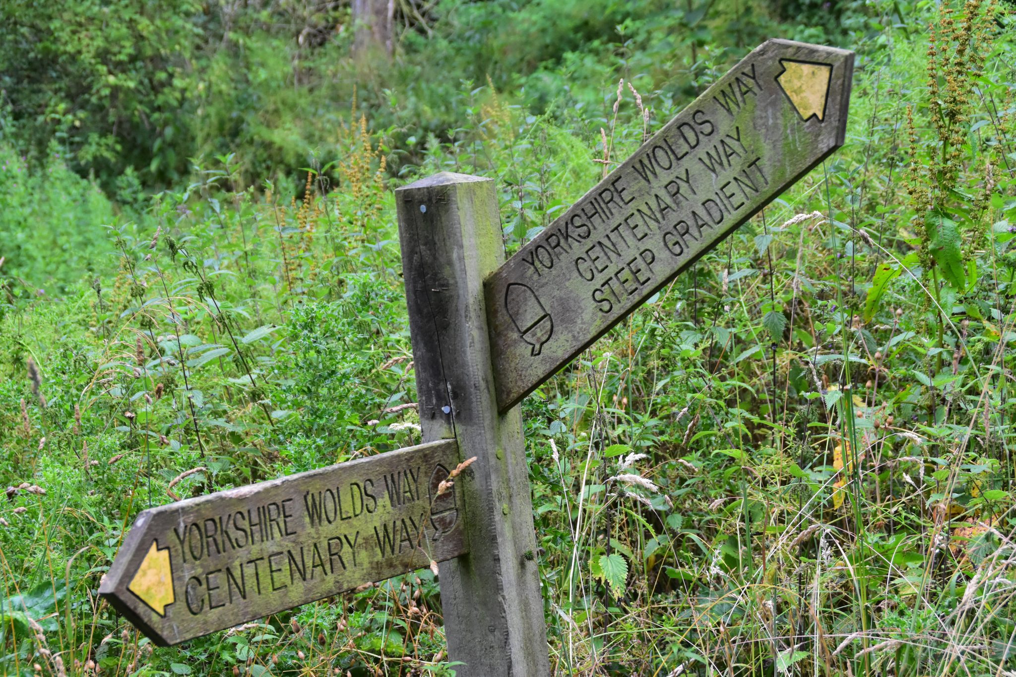 Wolds Way signpost pointing up steep hill