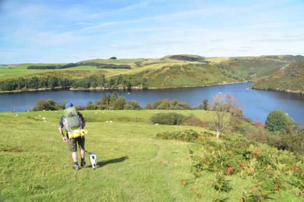 Hiker and dog walking alongside Clywedog Reservoir