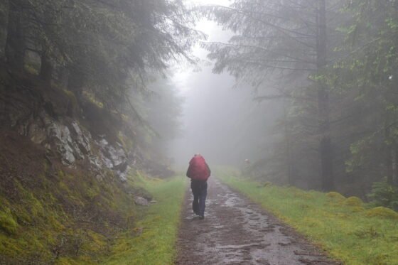 Man with red backpack marches along forest track in the pouring rain